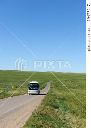 Bus in grassland 19477947