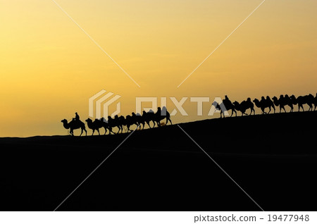 Desert dawn Desert dawn 19477948