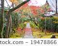 Scenery of Ryoanji - sidewalk ~ 19478866