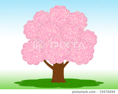 Cherry tree  19478894