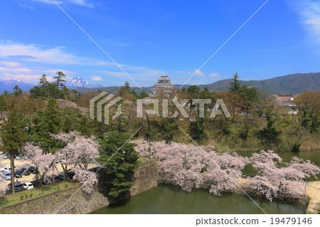 櫻花和敦賀城堡 櫻花和敦賀城堡 19479146