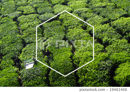 Hexagon Icon Frame Symbol Copy Space Concept Hexagon Icon Frame Symbol Copy Space Concept 19481408