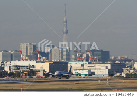 Land at Haneda airport on the back of the Sky Tree 787 19485449