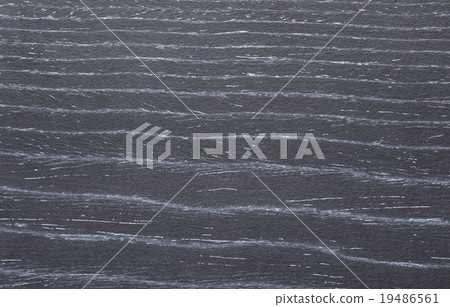 black zebrano wood texture for backgrounds 19486561