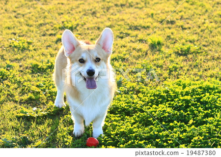 休息一下♪ 19487380