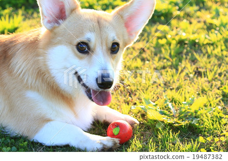 A little break ♪ 19487382