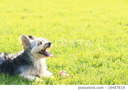 A little break ♪ 19487619