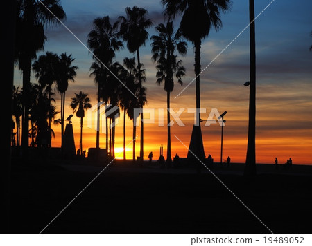 Dusk of Venice Beach, USA Los Angeles 19489052