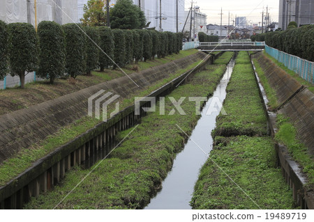 Shiba River flowing near Ageo Shiba River flowing near Ageo 19489719