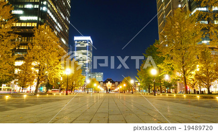 Ginkgo bunched trees that gleaming in the row of Wakuroi street and Tokyo station Ginkgo bunched trees that gleaming in the row of Wakuroi street and Tokyo station 19489720