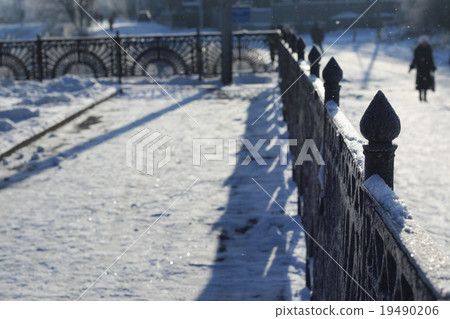 Winter tree fence dome Winter tree fence dome 19490206