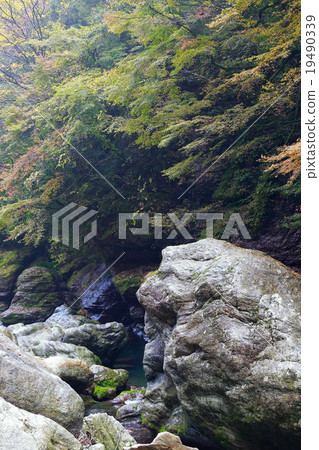 Nakatsu Valley Nakatsu Valley 19490339