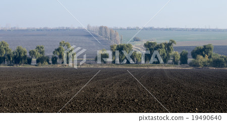 rural areas, the plowed fields, in the middle tree rural areas, the plowed fields, in the middle tree 19490640