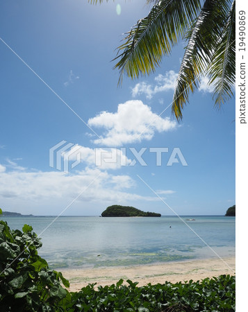 Guam's shallow beach and palm tree, small island, blue sky and white cloud 19490869