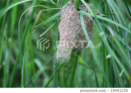 光陽按摩浴缸 19491230