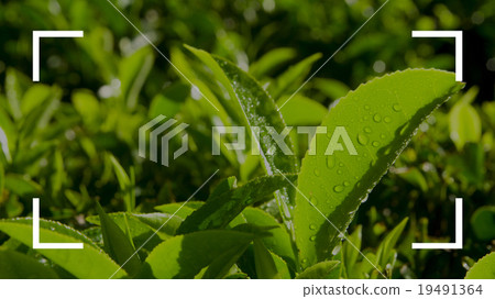 Camera Focus Frame Border Copy Space Concept 19491364