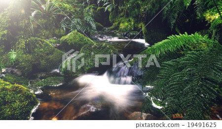 Pancake Rocks Punakaiki South Island New Zealand Concept Pancake Rocks Punakaiki South Island New Zealand Concept 19491625