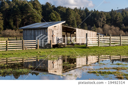 Old Abandoned Barn, Color Image 19492314