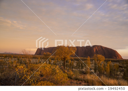 Evening landscape of Ayers Rock 19492450