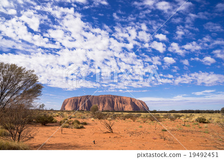 Evening landscape of Ayers Rock 19492451