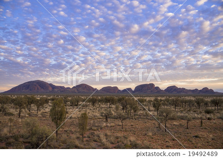 Mount Olga evening sight 19492489