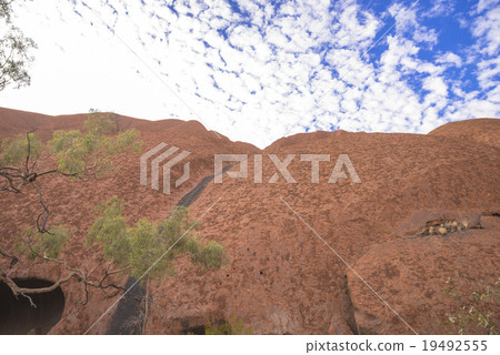 Valley of the wind in the Olga Valley 19492555