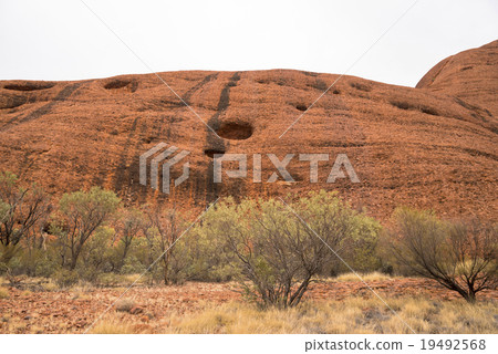 Valley of the wind in the Olga Valley 19492568