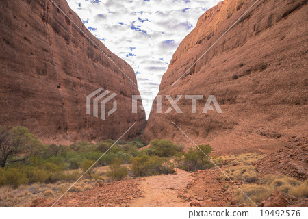 Valley of the wind in the Olga Valley 19492576