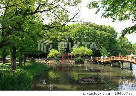 在Senda Hachiman Shrine和Ikebuki Bridge的Torii 19493752