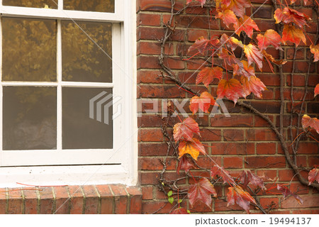 Late Autumn Campus Late Autumn Campus 19494137