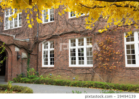 Late Autumn Campus 19494139
