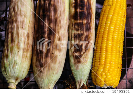 Grilled Corn Grilled Corn 19495501