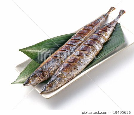 Savory burnt saury 19495636