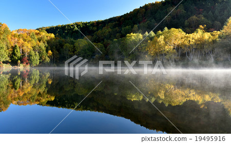 Morning mist wood mouth pond 19495916