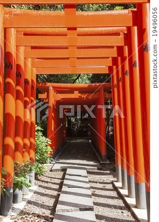 Shiroyama Hachimangu Shrine Toyotake Inari Shrine's Votive Torii 19496056