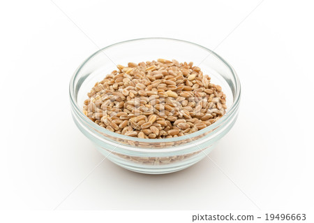 Wheatgrass seed (Wheatberry): Wheatgrass seeds (wheat berries) 19496663