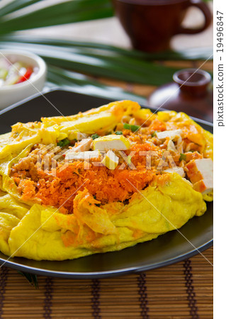 Stir fried tofu wrapped in omelett 19496847