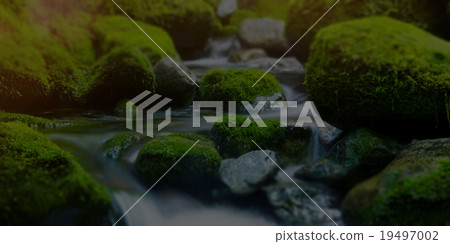 Cascading Waterfall Fresh Nature Green Environment Concept 19497002