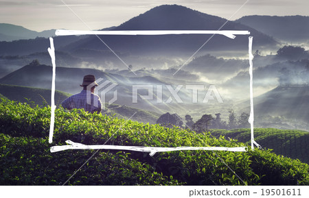 Timber Wood Frame Agriculture Harvesting Concept 19501611