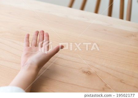 手 19502177