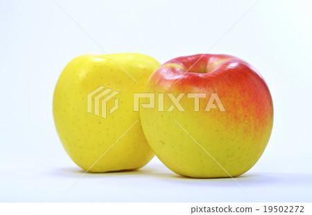 Apple(群馬月亮) Apple(群馬月亮) 19502272