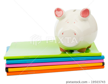 Piggy bank on pile of copybooks 19503743