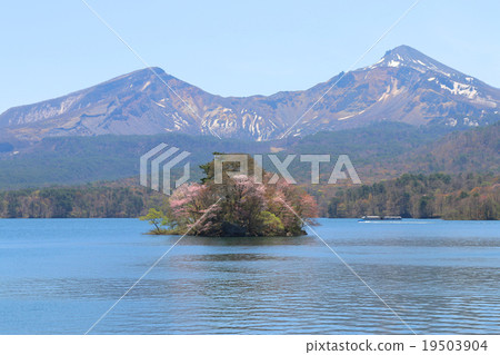 Sakurajima of Hibarahara 19503904