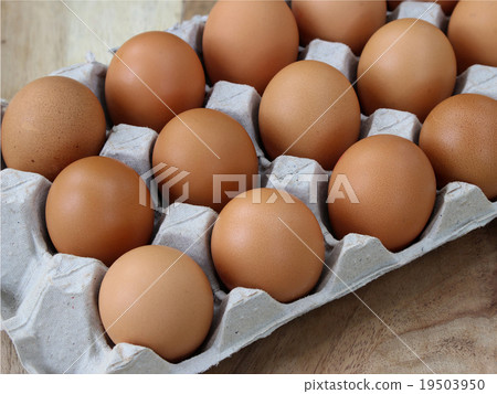 eggs in the package eggs in the package 19503950