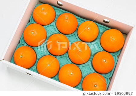 Bloom Madness盒裝 Bloom Madness盒裝 19503997