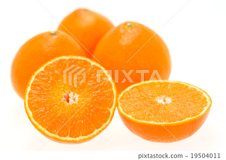 Red Madness Red Madness 19504011