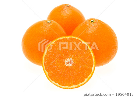 紅色瘋狂 19504013