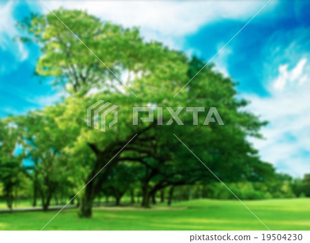 Blurred park, natural background Blurred park, natural background 19504230