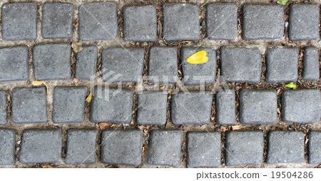 Cobbled pavement made of granite cubes 19504286