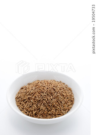 Cumin seed Cumin seed 19504733